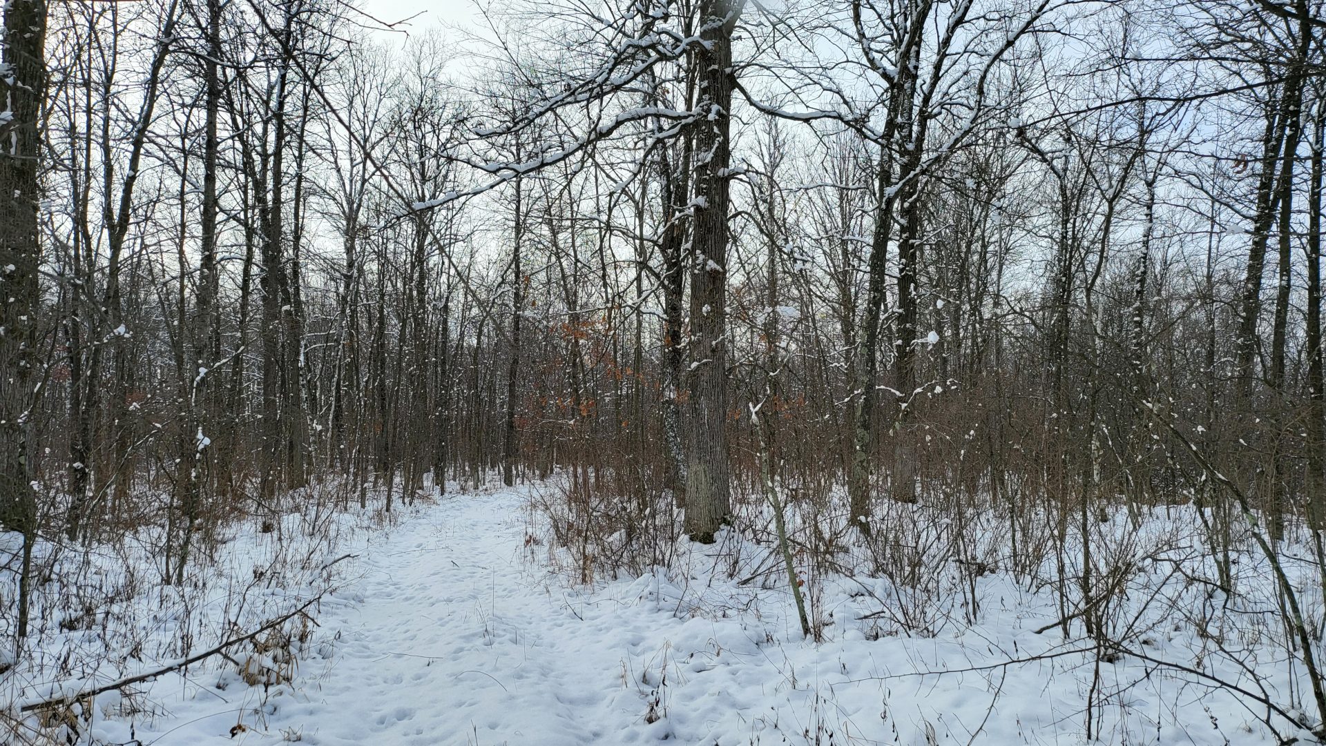 Shawano County 156 acres, A true legacy property for the ultimate