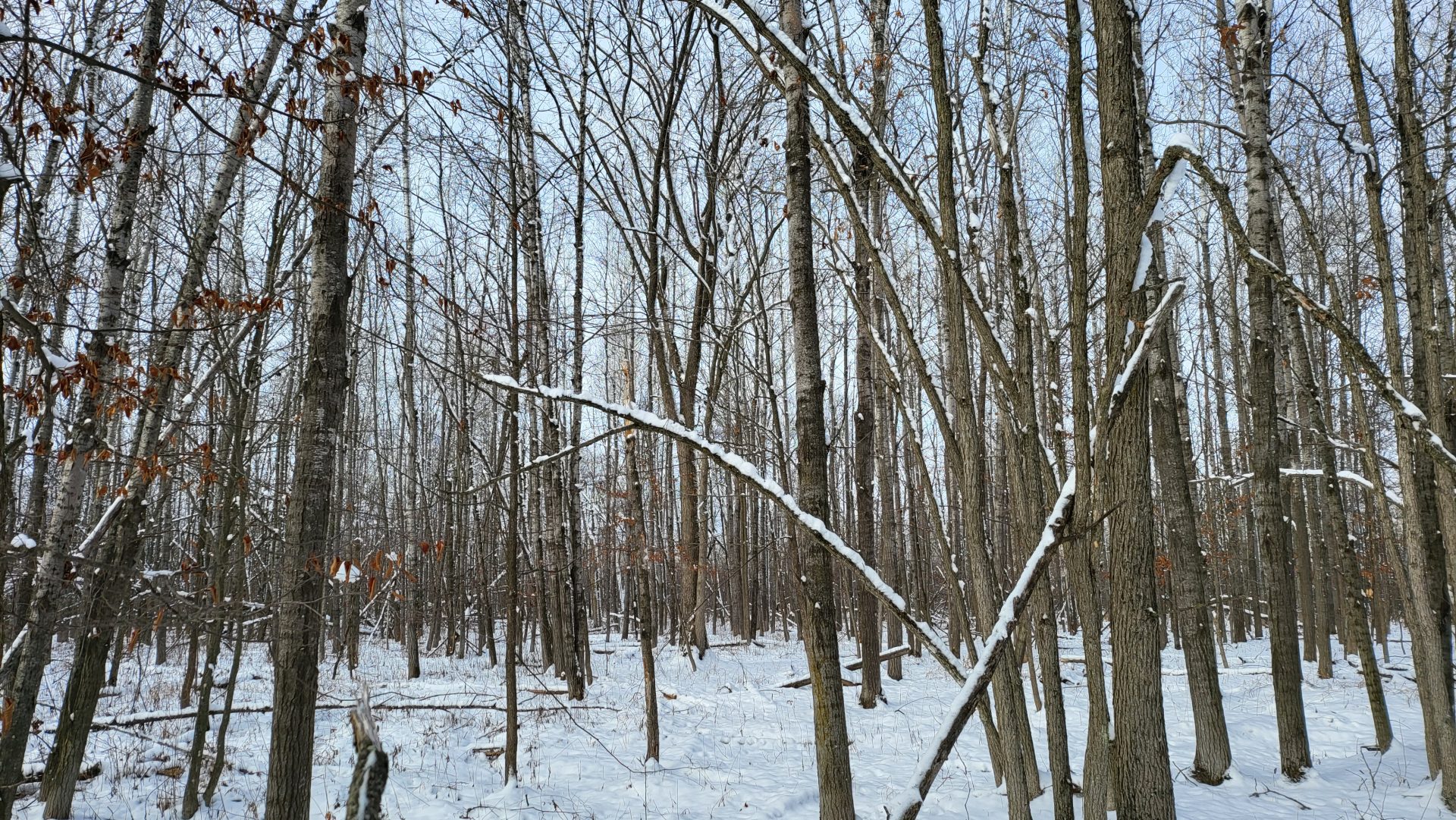 Shawano County 156 acres, A true legacy property for the ultimate