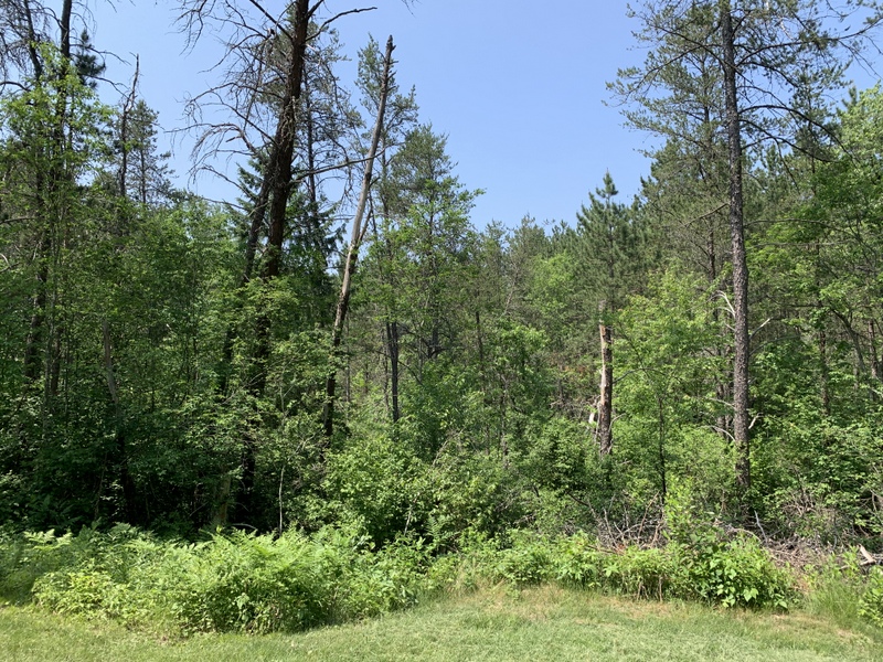 10 Acres National Forest Hunting Land for Sale – Lakewood, Wisconsin ...