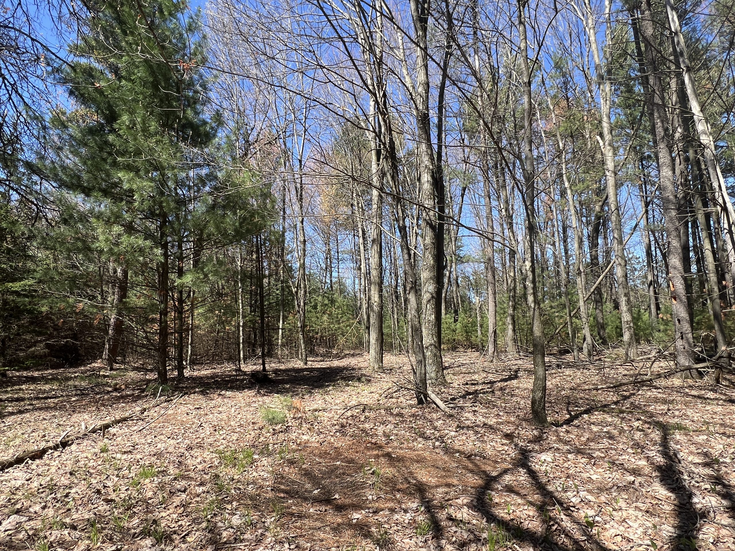 10 Acre Recreational & Residential Tract 